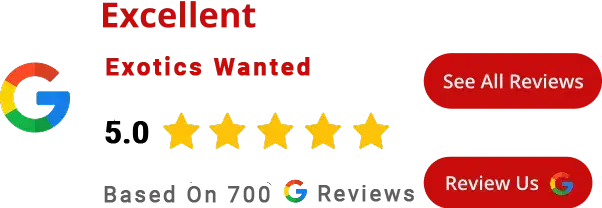 Google Testimonial for Exotics Wanted